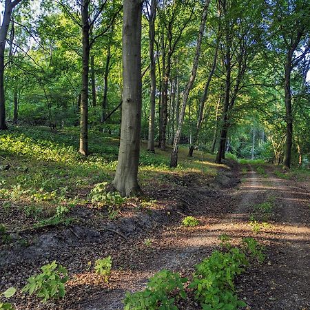 Forsthaus Lelkendorf / Ferienwohnung Bagian luar foto