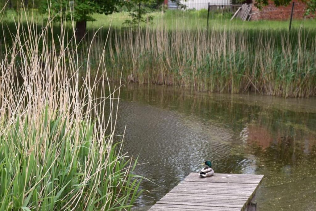 Forsthaus Lelkendorf / Ferienwohnung Bagian luar foto